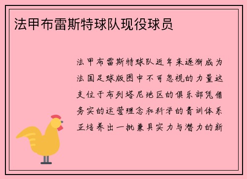 法甲布雷斯特球队现役球员