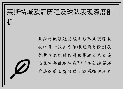 莱斯特城欧冠历程及球队表现深度剖析